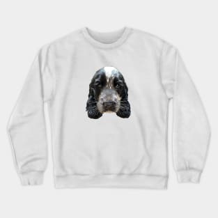 Cocker Spaniel Blue Roan Puppy Dog Crewneck Sweatshirt